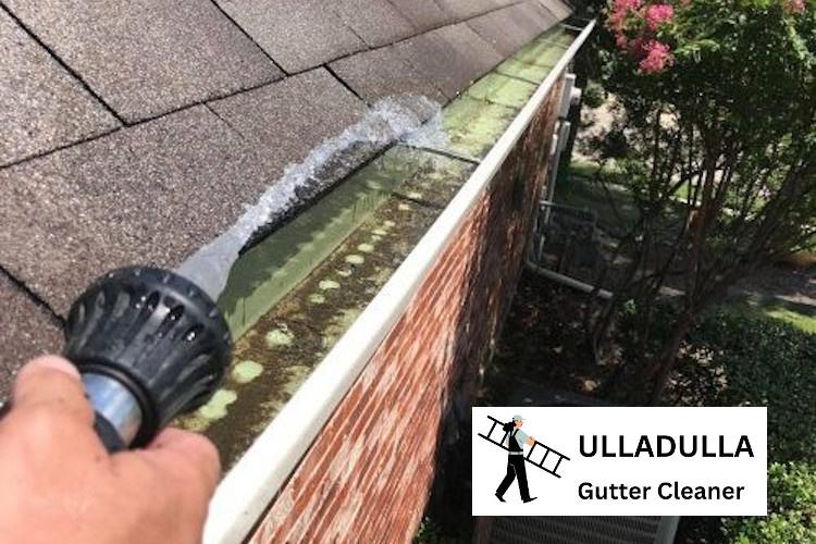 
Precision Rinsing: Manyana Gutter Cleaner`s Garden Hose Method