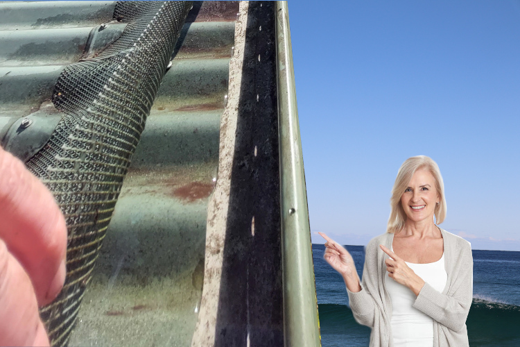 
ulladulla Woman`s Satisfaction Shines After Under Gutter Guard Cleaning